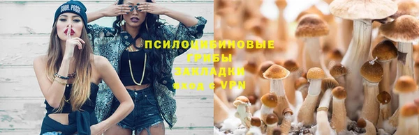 spice Армянск