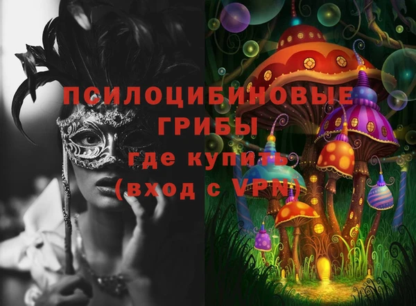 spice Армянск