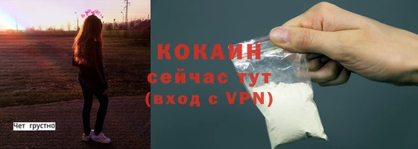 соль ск Арсеньев