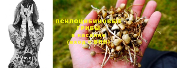 spice Армянск